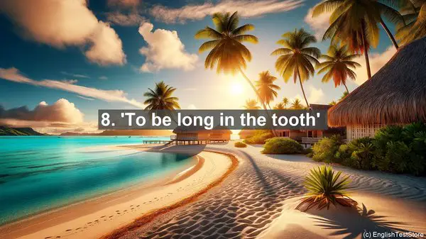 Top 10 English Idioms for Dentist MD 16