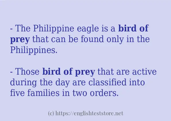 Bird of prey in-sentences