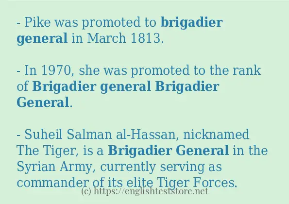 Brigadier general - sentence examples