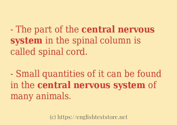 Central nervous system example in sentences