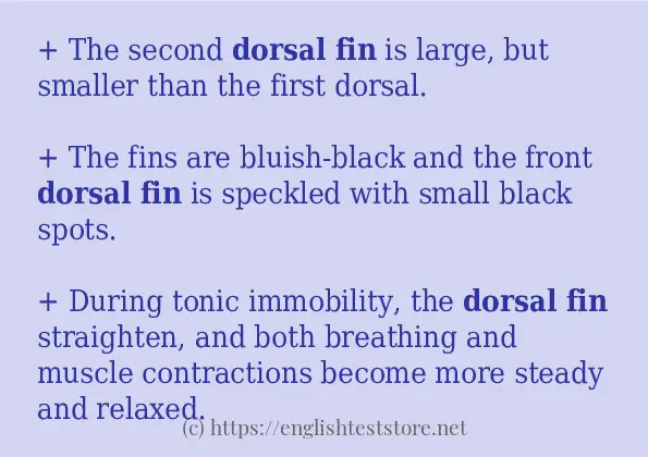 Dorsal fin example in sentences