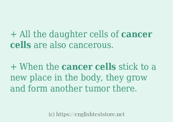 Example sentences of cancer cells