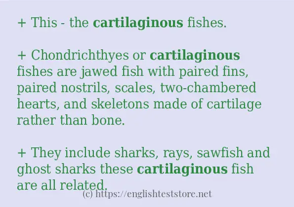 Example sentences of cartilaginous
