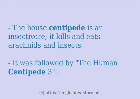 Example sentences of centipede