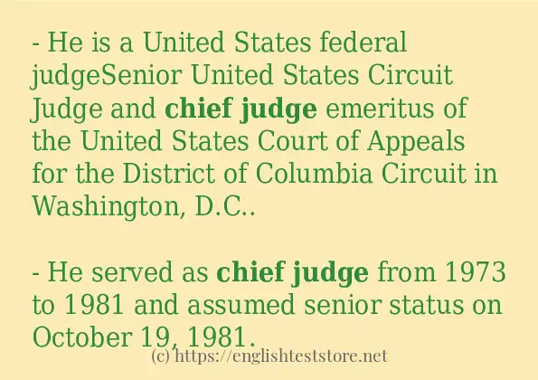 Example sentences of chief judge