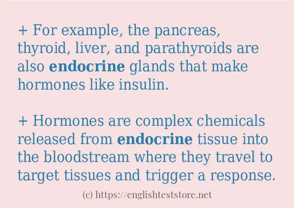 Example sentences of endocrine