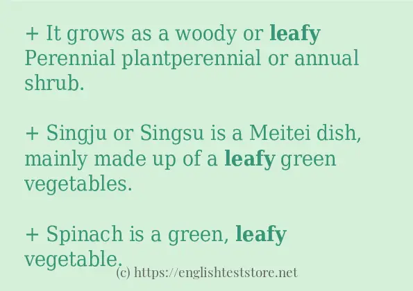 example-sentences-of-leafy-englishteststore-blog