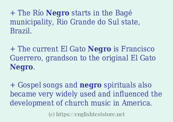 Example sentences of negro