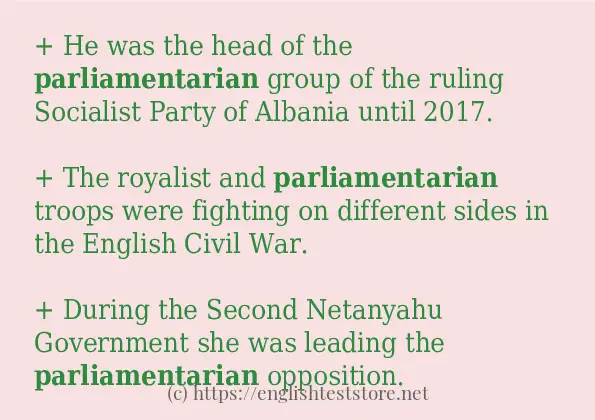 Example sentences of parliamentarian