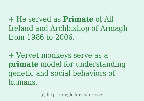 Example sentences of primate
