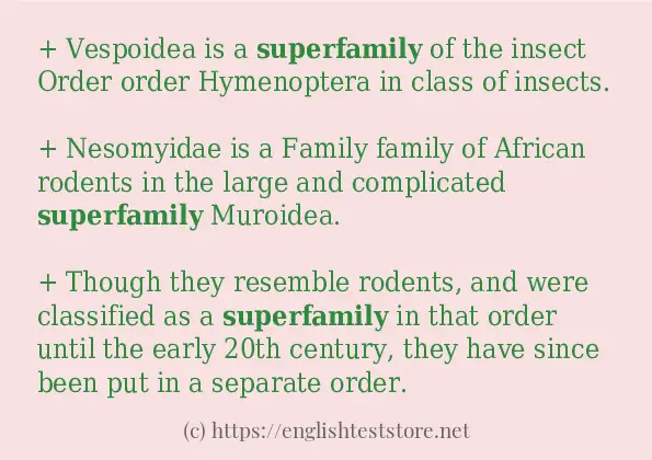 Example sentences of superfamily