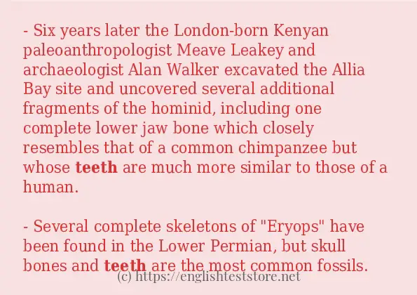 Example sentences of teeth