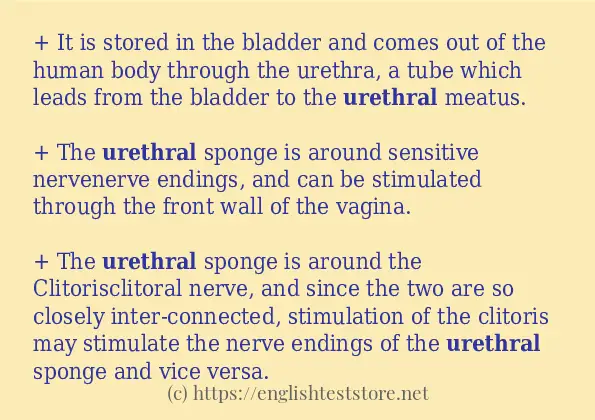 Example sentences of urethral Example sentences of urethral