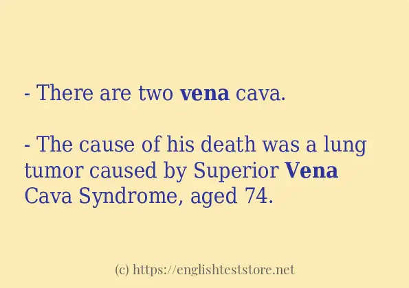 Example sentences of vena