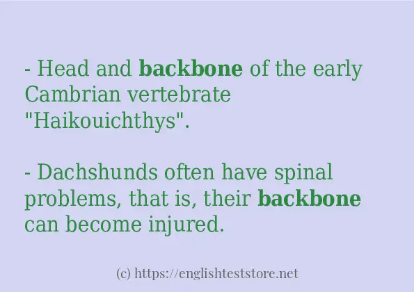 Example uses in sentence of backbone