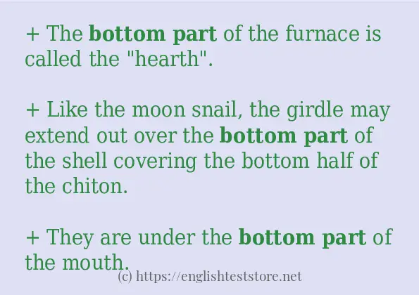 Example uses in sentence of bottom part