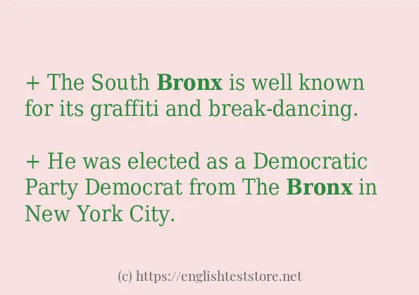 Example uses in sentence of bronx