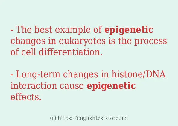 Example uses in sentence of epigenetic