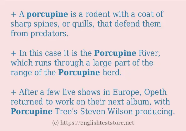 Example uses in sentence of porcupine