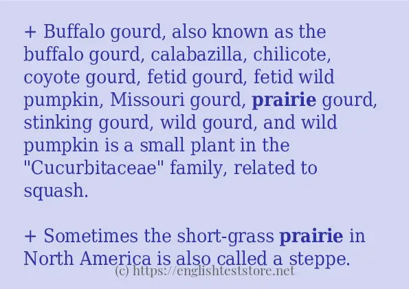 Example uses in sentence of prairie