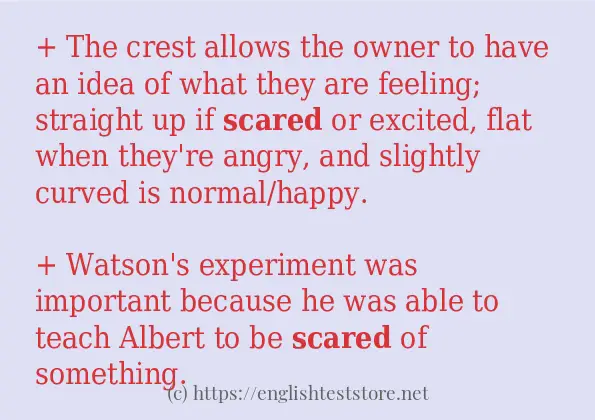 example-uses-in-sentence-of-scared-englishteststore-blog