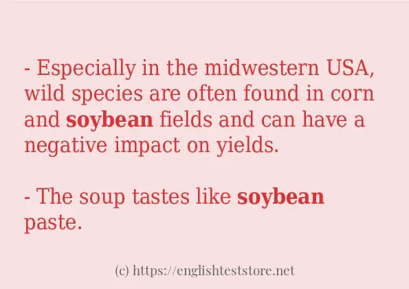 Example uses in sentence of soybean