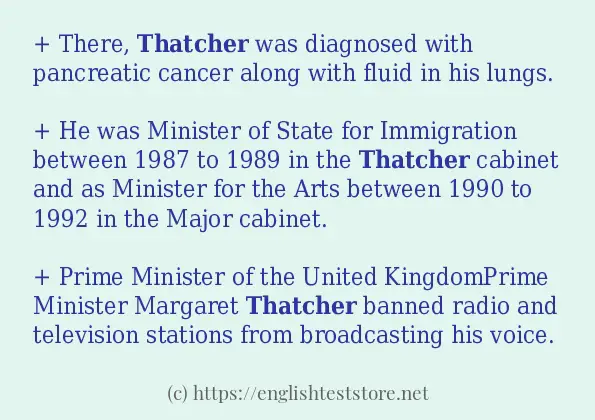 Example uses in sentence of thatcher