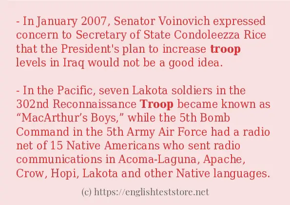 example-uses-in-sentence-of-troop-englishteststore-blog