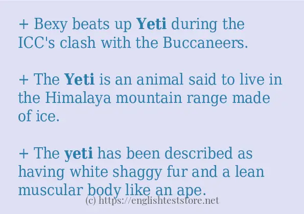 Example uses in sentence of yeti