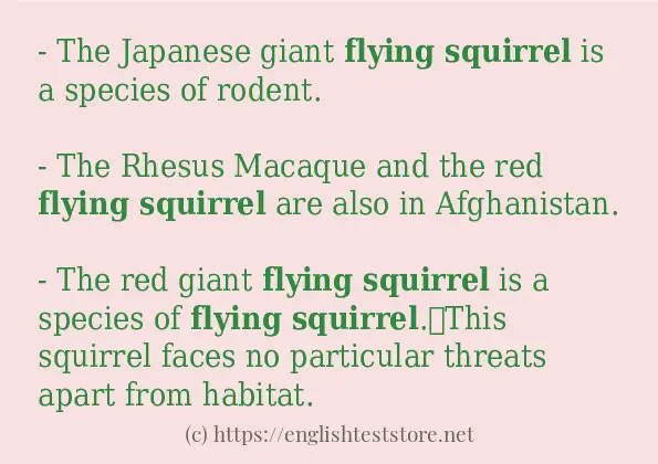 Flying squirrel in-sentences