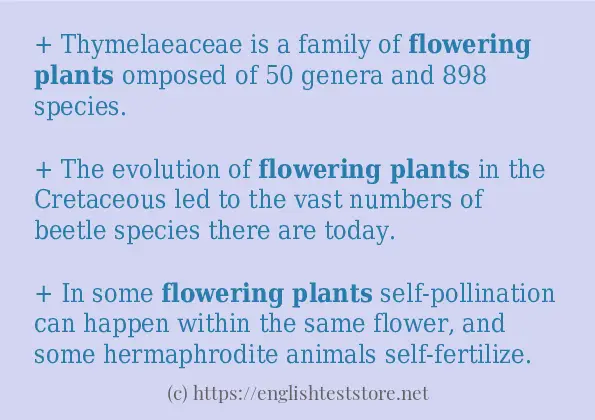 How to use flowering plants