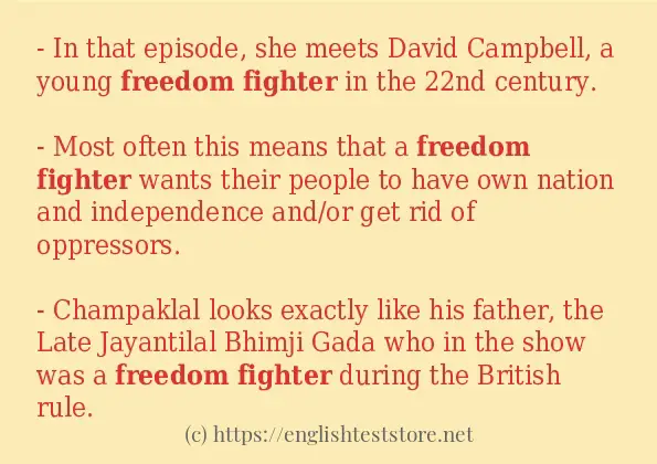 how-to-use-in-sentence-of-freedom-fighter-englishteststore-blog