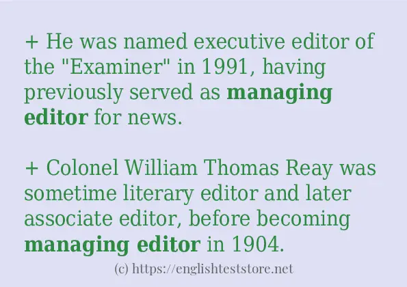 How to use in sentence of Managing editor