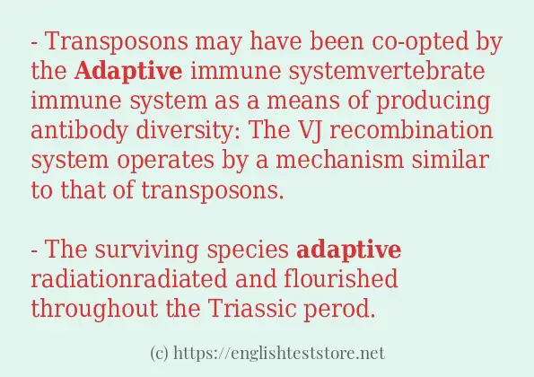 How to use in-sentence of adaptive