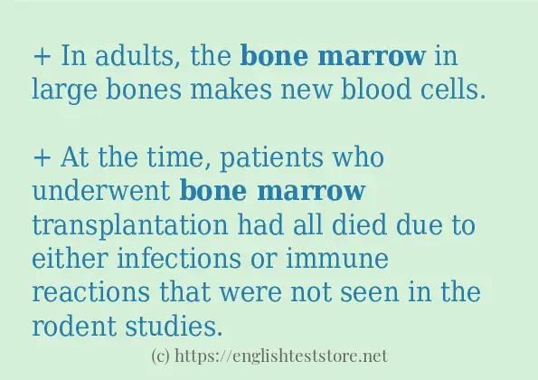 How to use in sentence of bone marrow