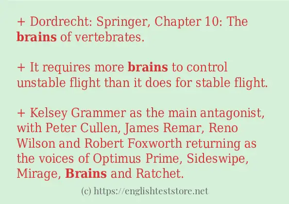 How to use in-sentence of brains