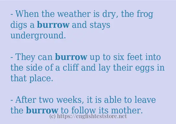 How to use in-sentence of burrow