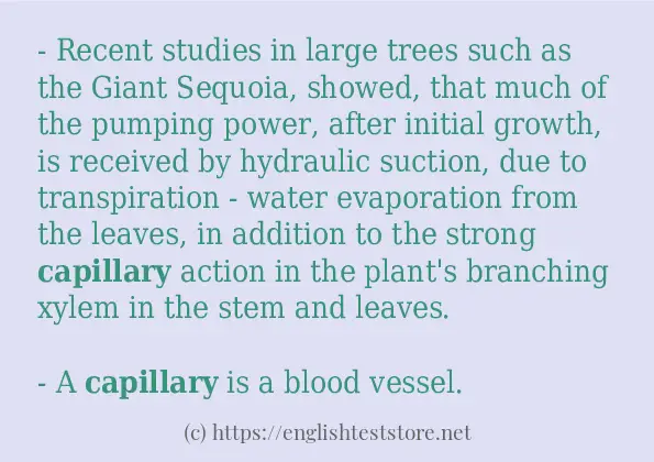 How to use in sentence of capillary