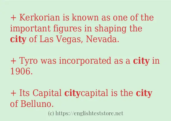 How to use in sentence of city