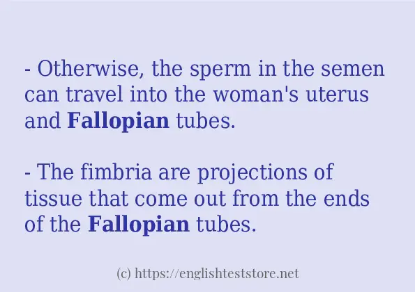 How to use in-sentence of fallopian