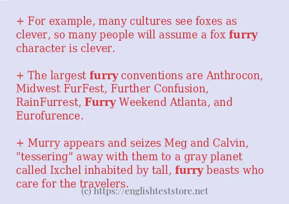 Example Sentence Of Furry