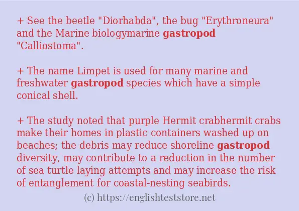 How to use in sentence of gastropod