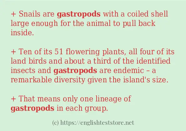 How to use in-sentence of gastropods How to use in-sentence of gastropods