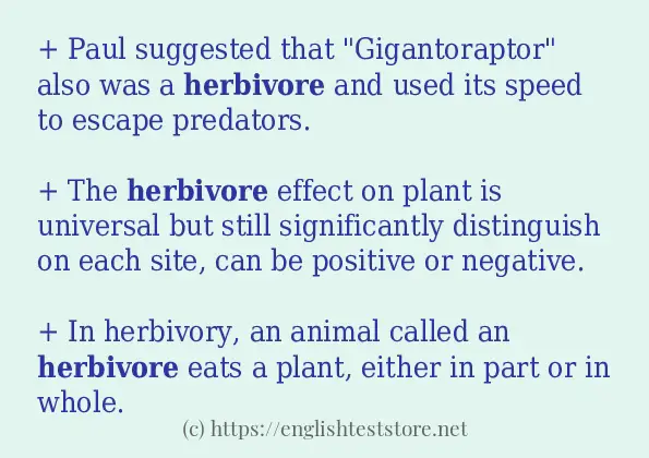 How to use in-sentence of herbivore How to use in-sentence of herbivore