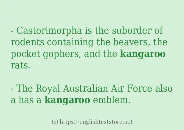 How to use in sentence of kangaroo