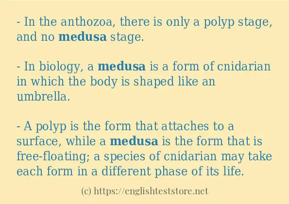 How to use in sentence of medusa