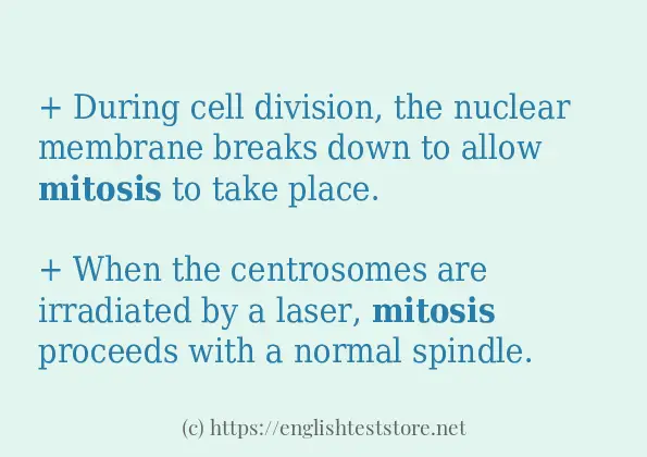 How to use in-sentence of mitosis