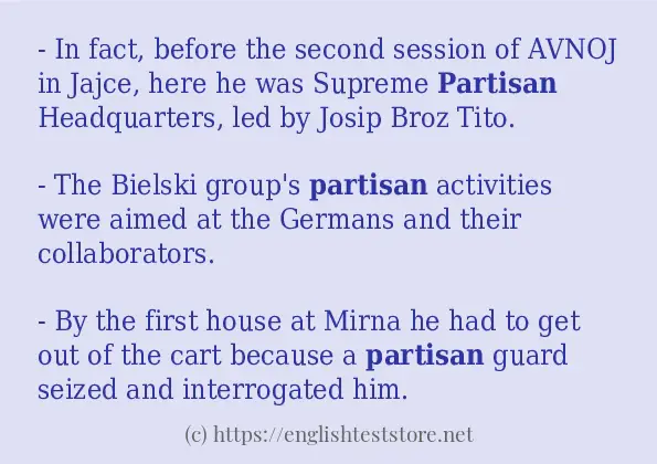 How to use in sentence of partisan