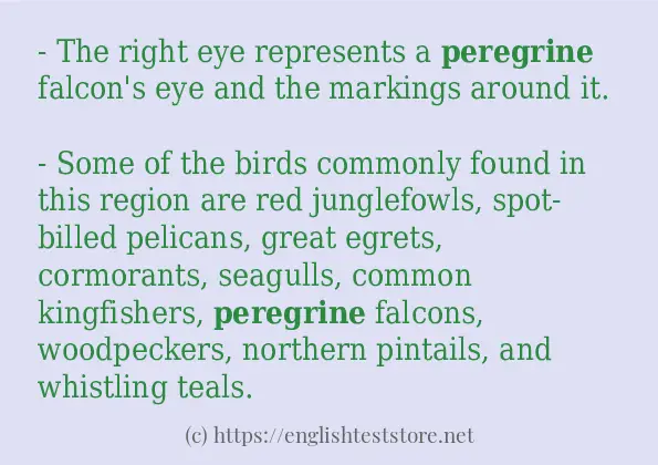 How to use in-sentence of peregrine