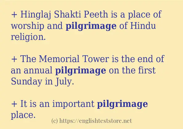 How to use in sentence of pilgrimage